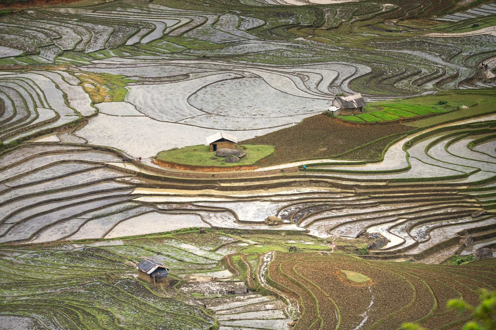 Aerial view of Nepal rice terraces in monsoon